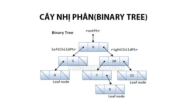 Cây nhị phân – Binary Tree