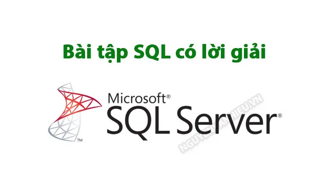 Bài tập câu lệnh SELECT trong SQL – P1